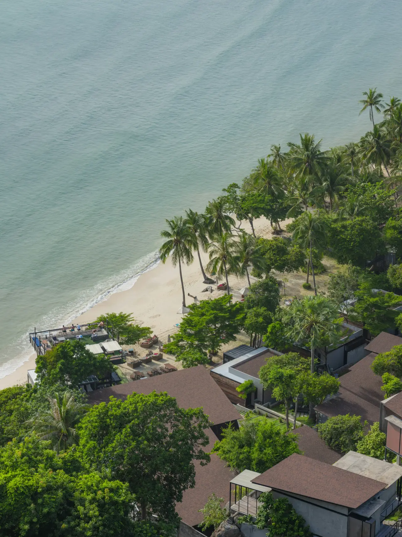 Palm trees and beachfront buildings beside Haad Rin Nai beach, viewed from above on Koh Phangan.