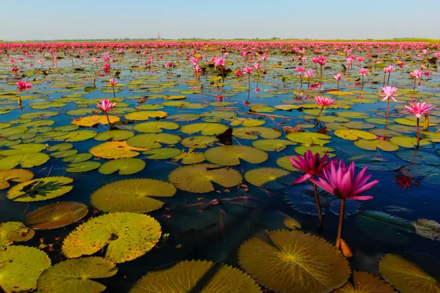 The Red Lotus Sea near Udon Thani: season, boat choice and realistic expectations, travel inspiration