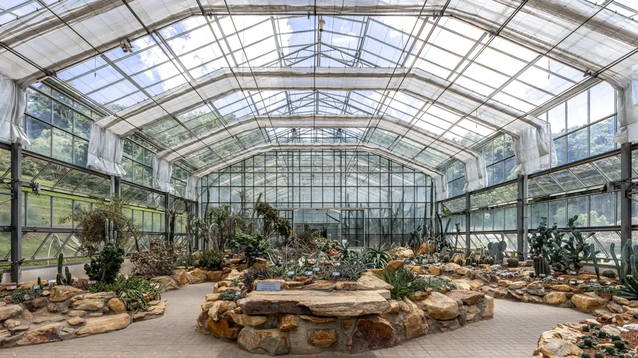 Cacti and other plants displayed inside a glasshouse at Queen Sirikit Botanic Garden