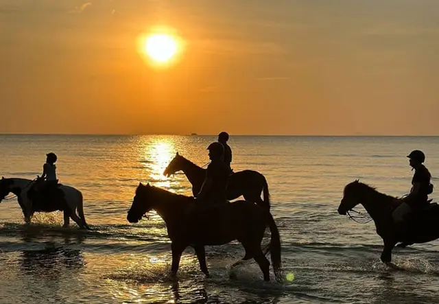 A group horse ride through shallow water at sunset