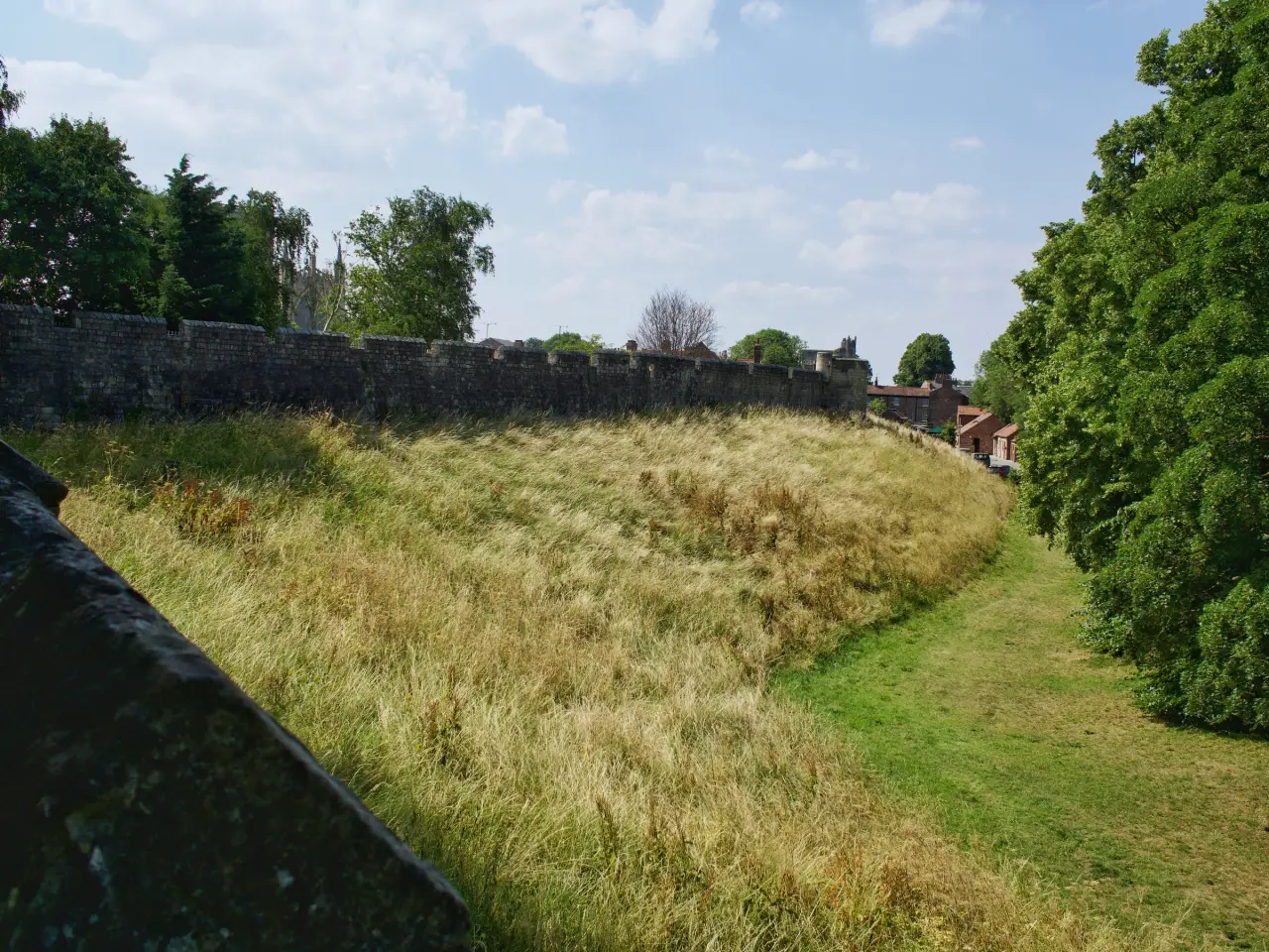 York’s city walls beside tall summer grass and leafy trees near Jewbury.
