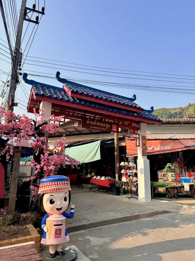 Doi Pui Hmong Village: a considered visit above Chiang Mai, travel inspiration