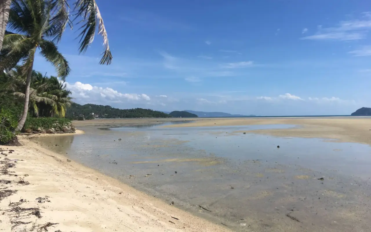 ต้นมะพร้าวและท้องฟ้าสีครามสดใสริมอ่าวหินกองบนเกาะพะงัน
