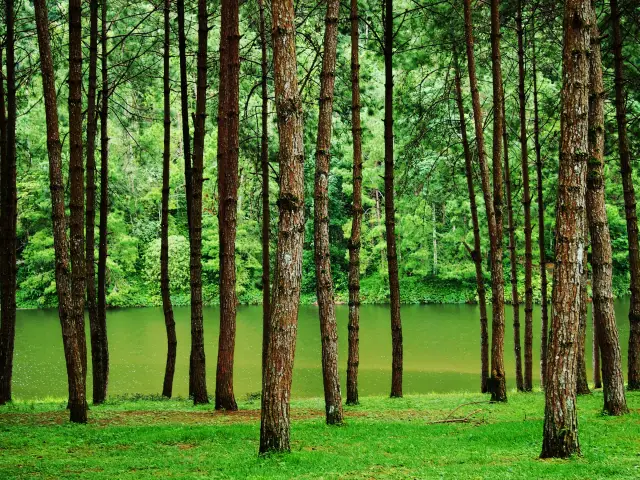 Pang Ung: plan a quiet reservoir stay in Mae Hong Son, travel inspiration