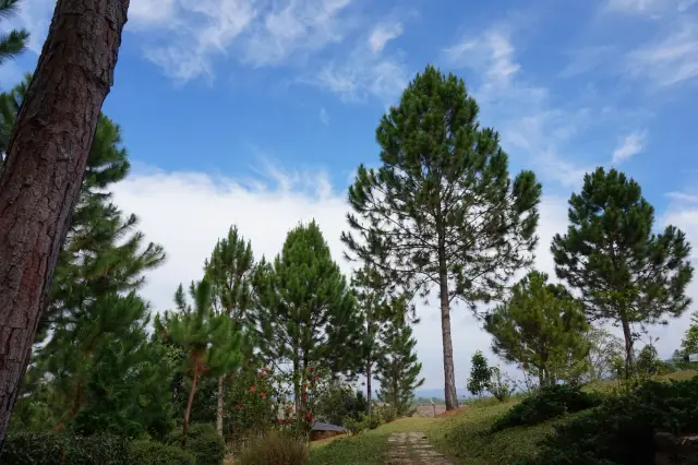Khao Kho: choose a small viewpoint route instead De chasing every hill, travel inspiration