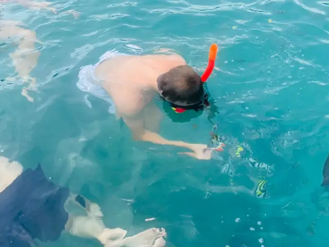Snorkeling in the clear waters near Koh Tan