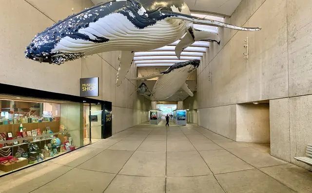 Brisbane Queensland Museum: a collection visit at South Bank, travel inspiration
