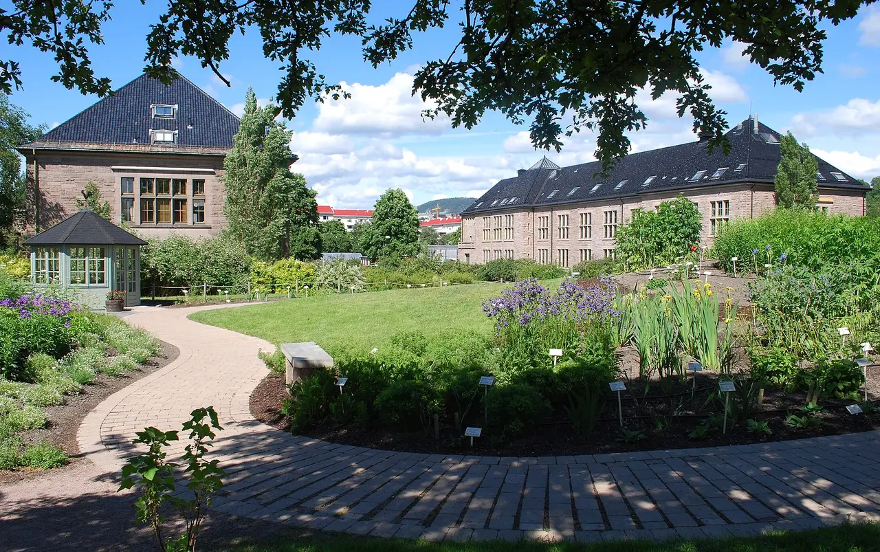 Flowering beds and curving paths in the Great Granny’s Garden at Oslo Botanical Garden in Tøyen
