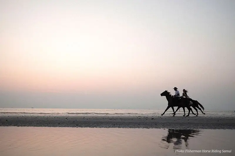 Horseback silhouettes on Lipa Noi beach in the evening light