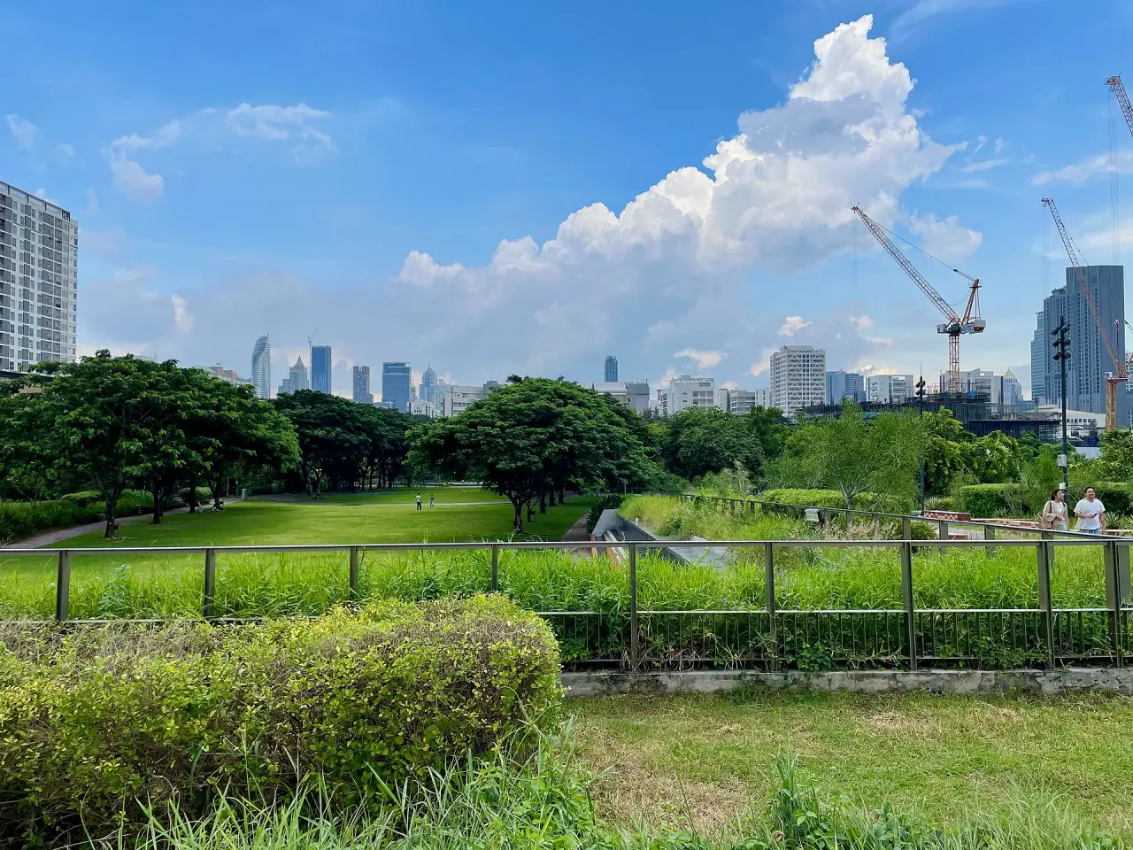 Green lawns and planted water edges at Chulalongkorn University Centenary Park under a blue Bangkok sky