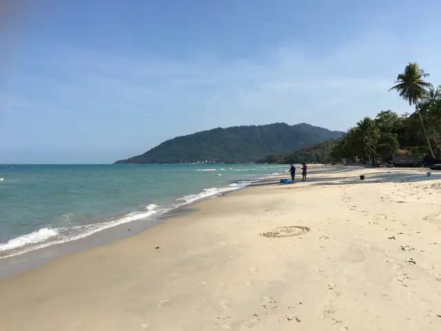 Khanom dolphin trips: choose a responsible boat outing without guarantees, travel inspiration