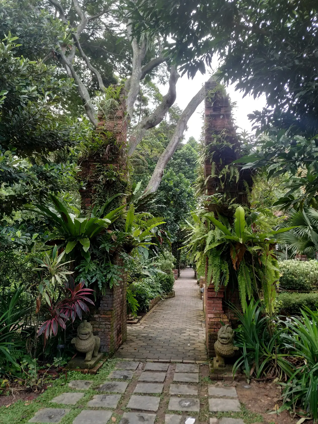 A green fern-lined stair path among tropical plants at Fort Canning Park in Singapore