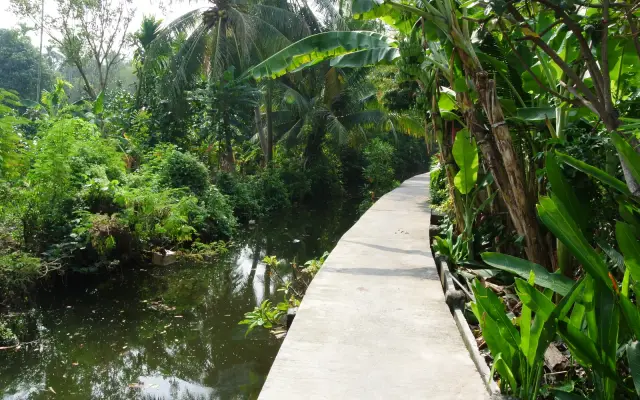 Bang Kachao by Bicycle: A Manageable Green Day from Bangkok, travel inspiration
