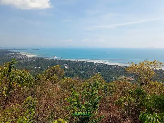 Sweeping coast and jungle views from the safari lookout