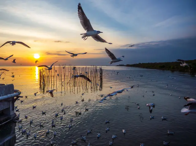 Bang Pu: a coastal pier and mangrove outing from Bangkok, travel inspiration