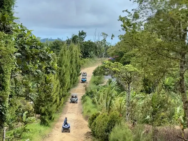 Koh Samui 2 Hour ATV und Buggy Waterfall Adventure, photo 2