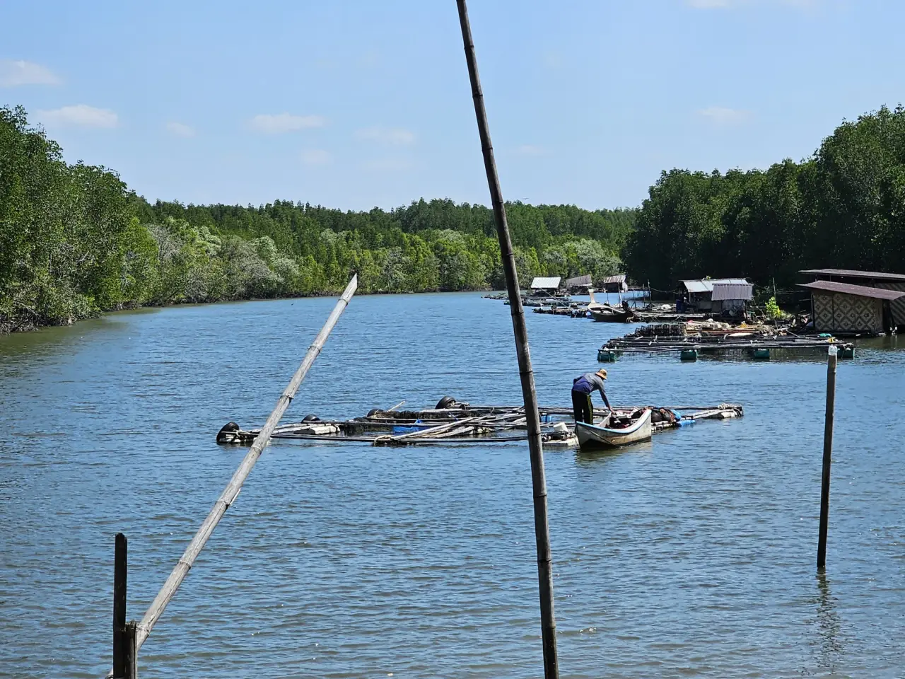 A fisher working from a small boat beside floating fish pens and mangroves at Koh Klang, Krabi