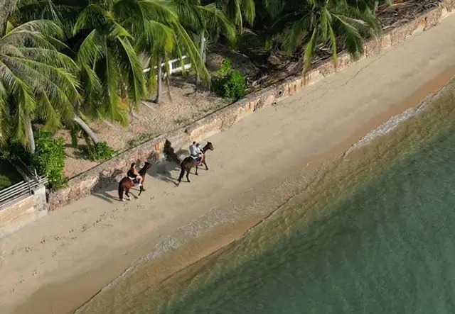 Aerial view of riders beside the palm-lined Lipa Noi shoreline
