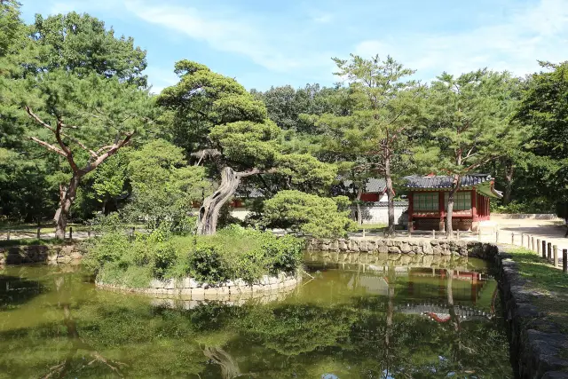 Seoul Jongmyo: the royal ancestral shrine and a focused visit, travel inspiration