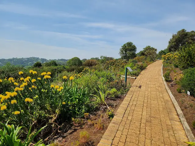 Cape Town Kirstenbosch: garden collections and a focused foothill walk, travel inspiration