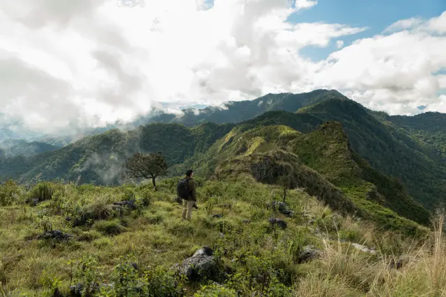Doi Phu Kha: a mountain-road day with a few well-chosen forest stops, travel inspiration