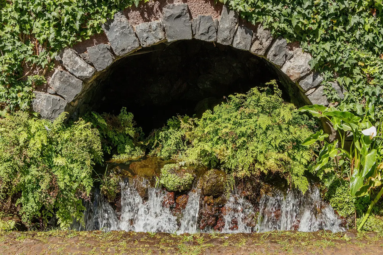 Ein Steinbogen und helle Farne über einem Brunnen im Monte Palace Tropical Garden auf Madeira