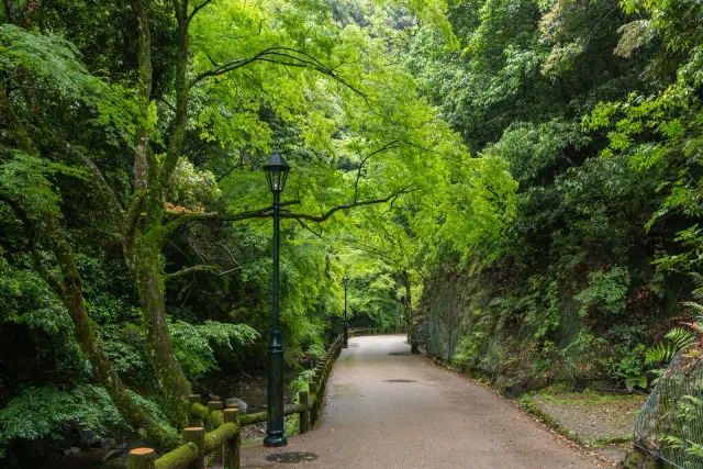 Minoh Waterfall from Osaka: the right station and a relaxed half-day walk, travel inspiration
