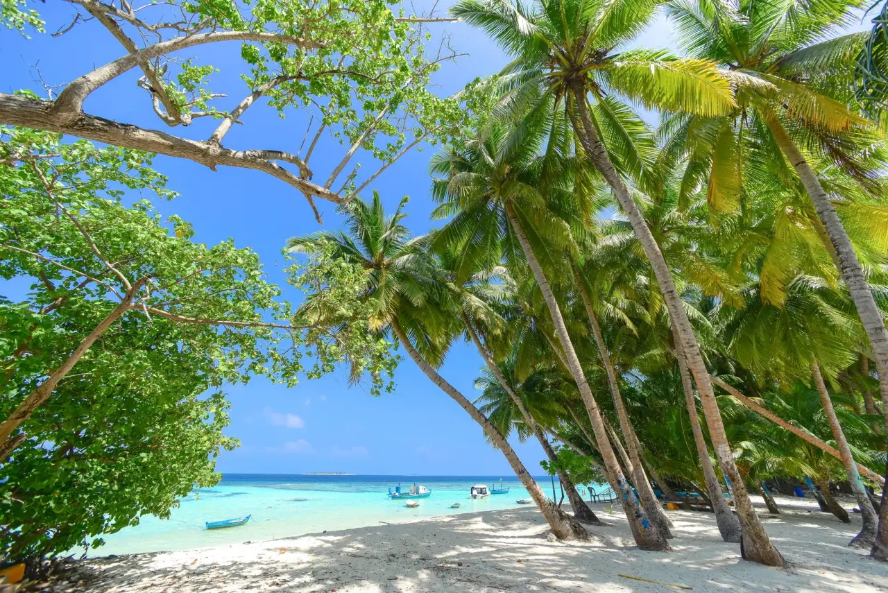 Palm trees frame pale sand, clear turquoise water and small boats at a tropical beach.