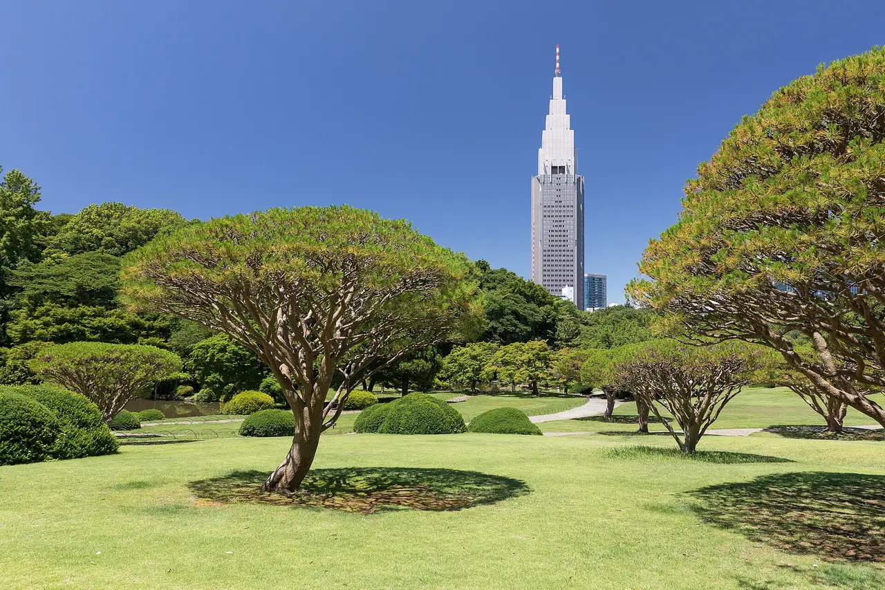 Fresh green trees and lawns in Shinjuku Gyoen, with Tokyo’s NTT DoCoMo Yoyogi Building under a blue sky.