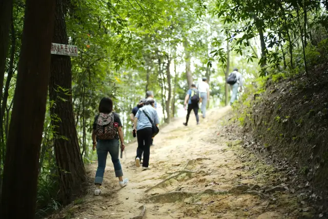 Writing experience roundups with a clear editorial method, travel inspiration