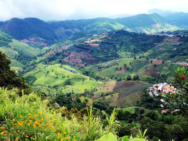 Doi Mae Salong: a tea-village day with time to taste and look around, travel inspiration