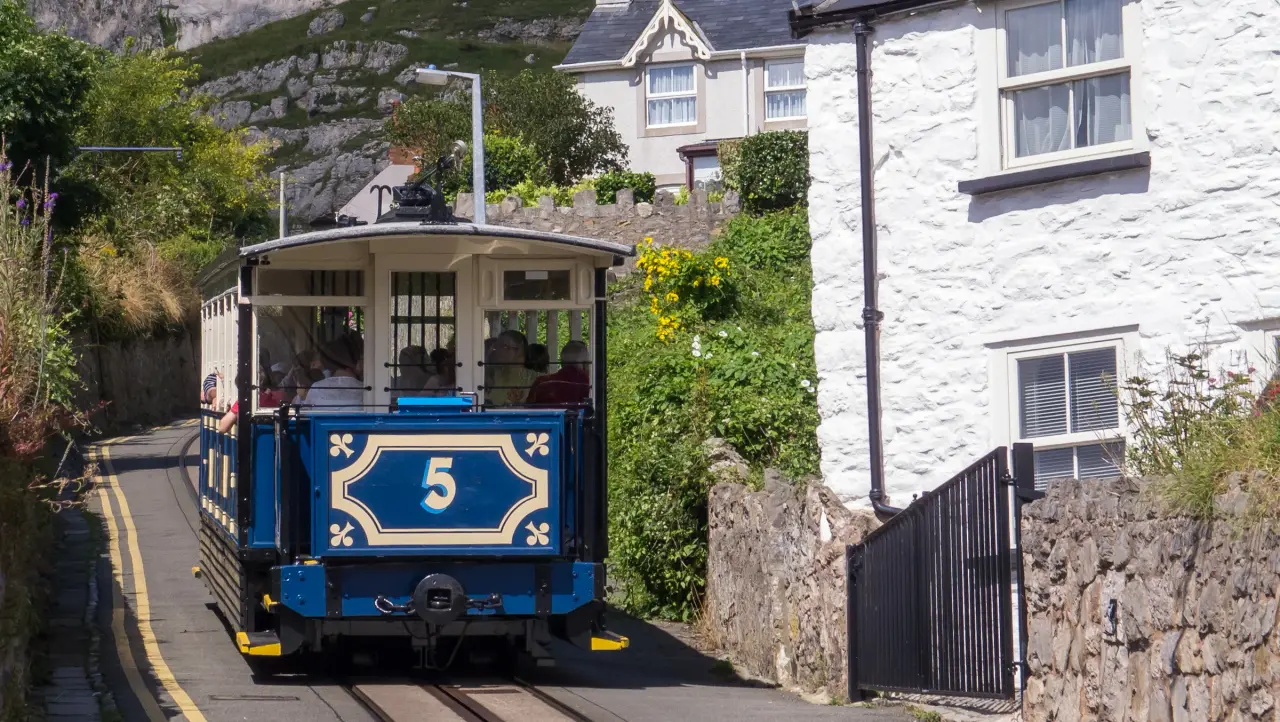 Blue Great Orme tram 5 on its street-running track between stone houses and flowering hedges in Llandudno.