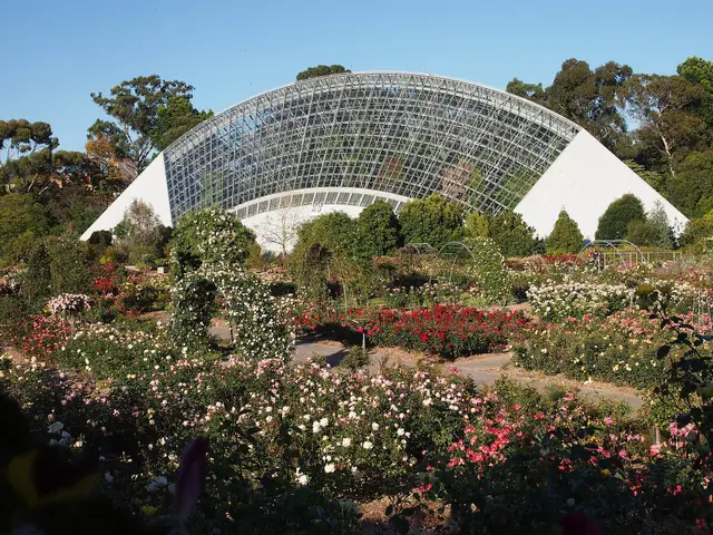 Adelaide Botanic Garden: glasshouses, collections and shady routes, travel inspiration