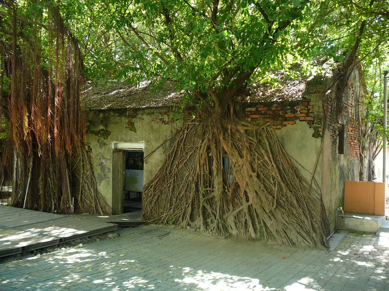 Banyan roots enveloping an old wall and doorway at Anping Tree House in Tainan.