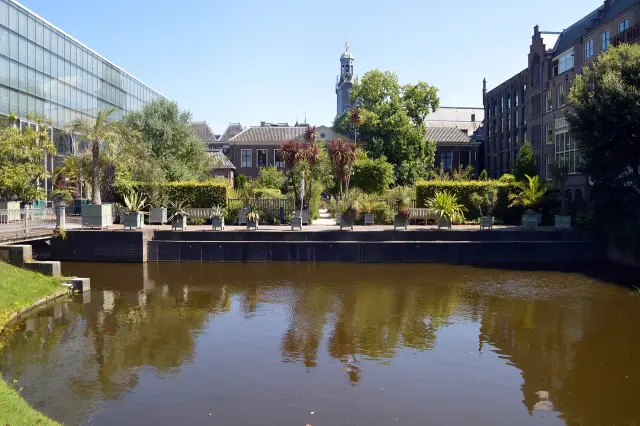 Leiden: antiquities, Hortus and an old-town walk, travel inspiration