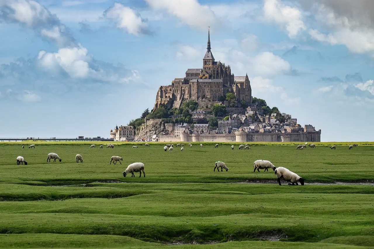 Mont Saint-Michel beyond green grazing fields and sheep under a blue and white sky