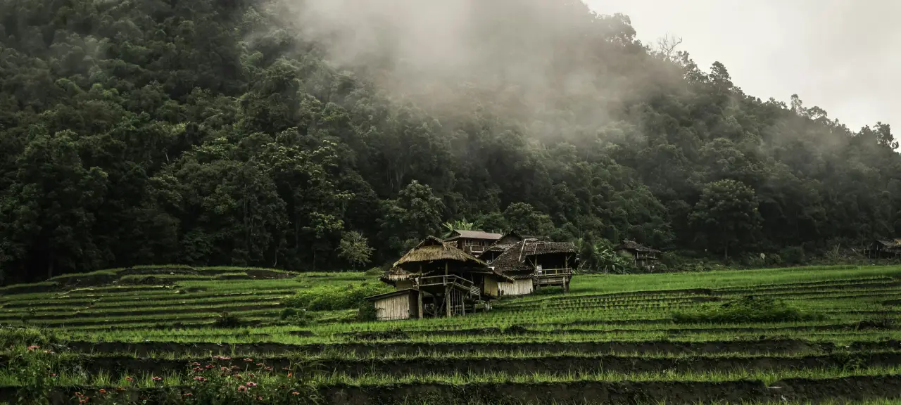 Green rice terraces and wooden huts in Mae Chaem district, Chiang Mai.