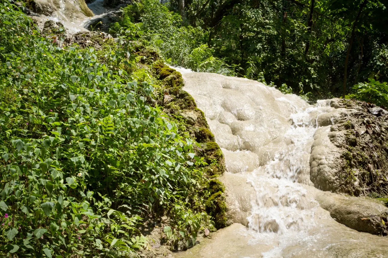 Sunlit water flows over pale rounded limestone beside dense green plants at Bua Tong Waterfall in Chiang Mai, Thailand.