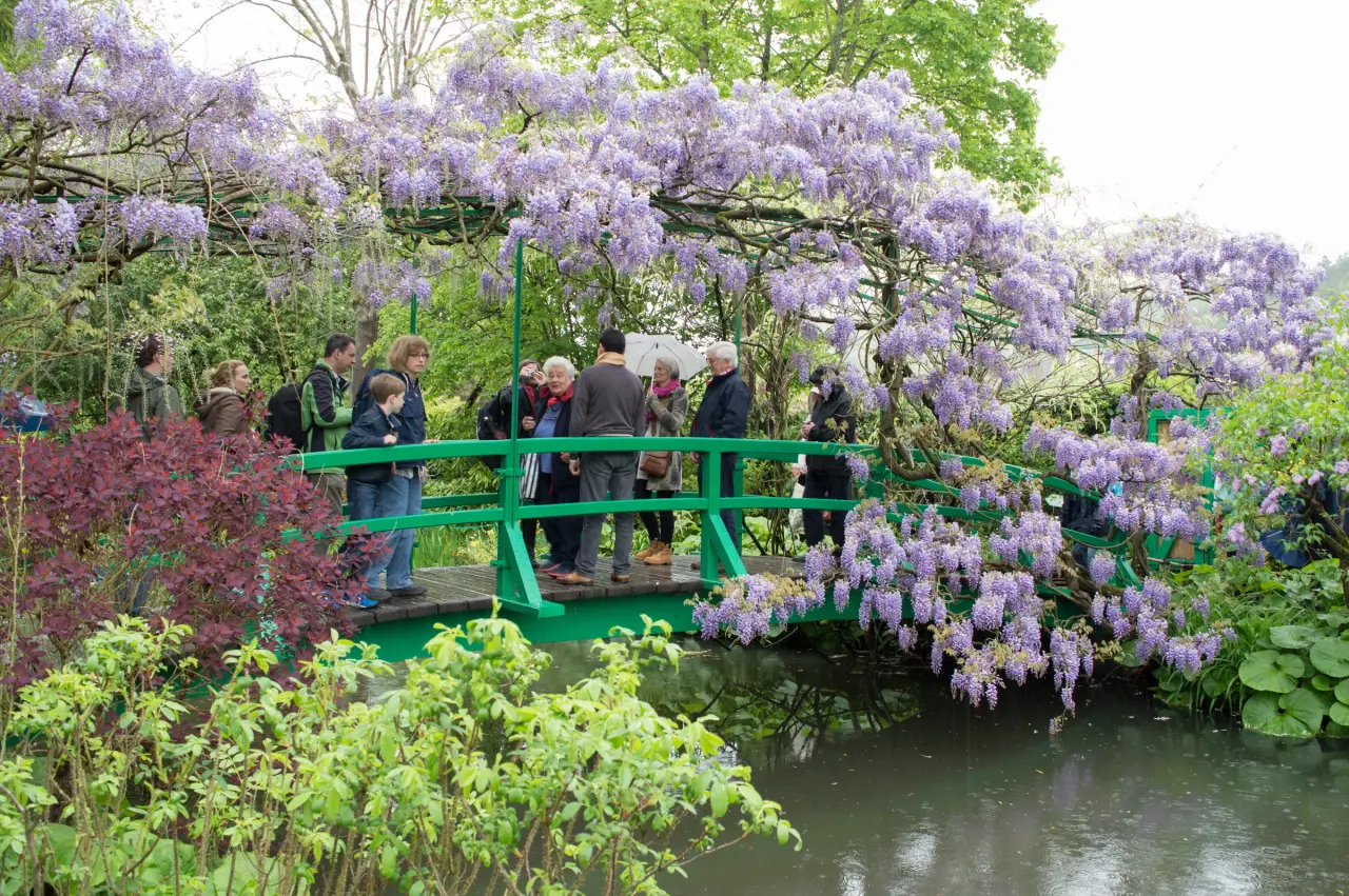 Besucher auf einer grünen Fußgängerbrücke unter blühendem Blauregen in Claude Monets Wassergarten in Giverny.
