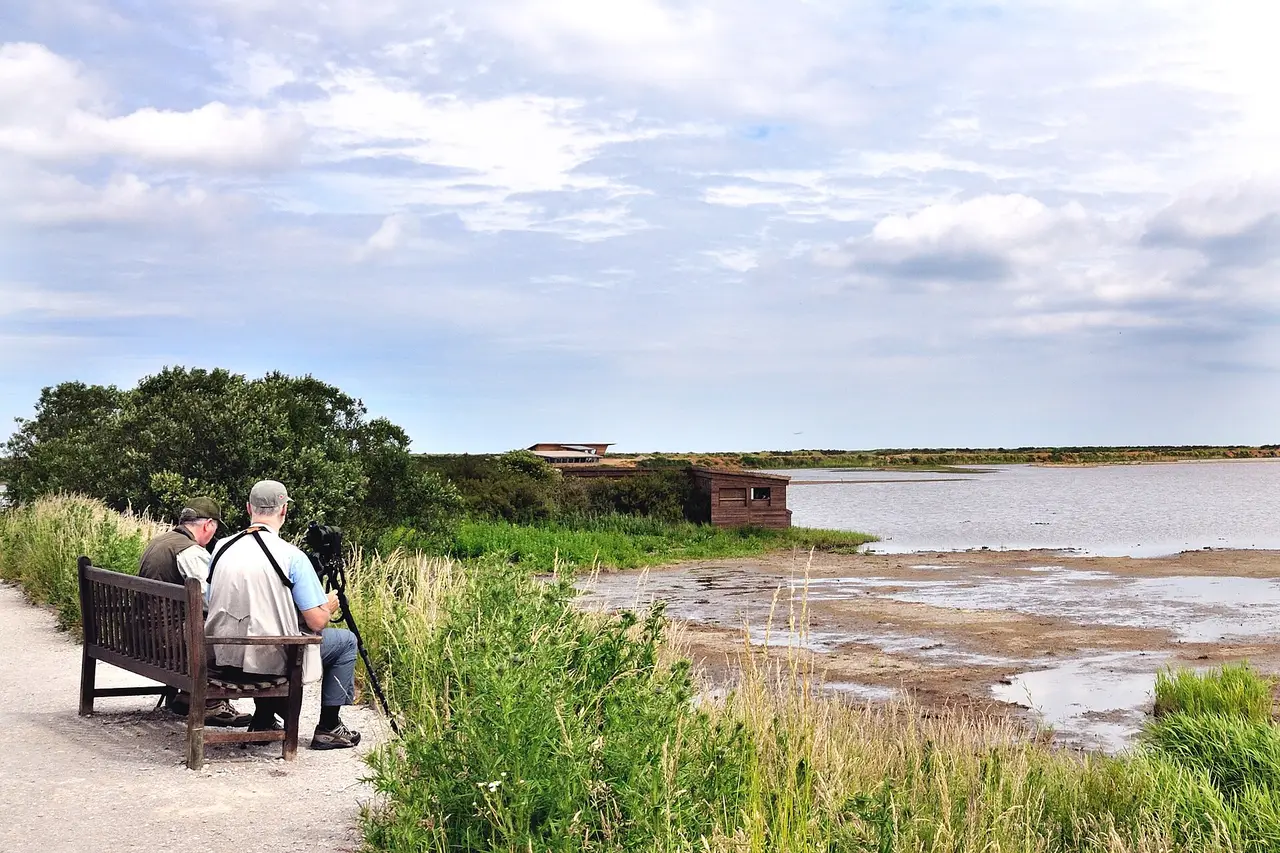 Visitors watching the wetland from a bench at Titchwell Marsh in Norfolk