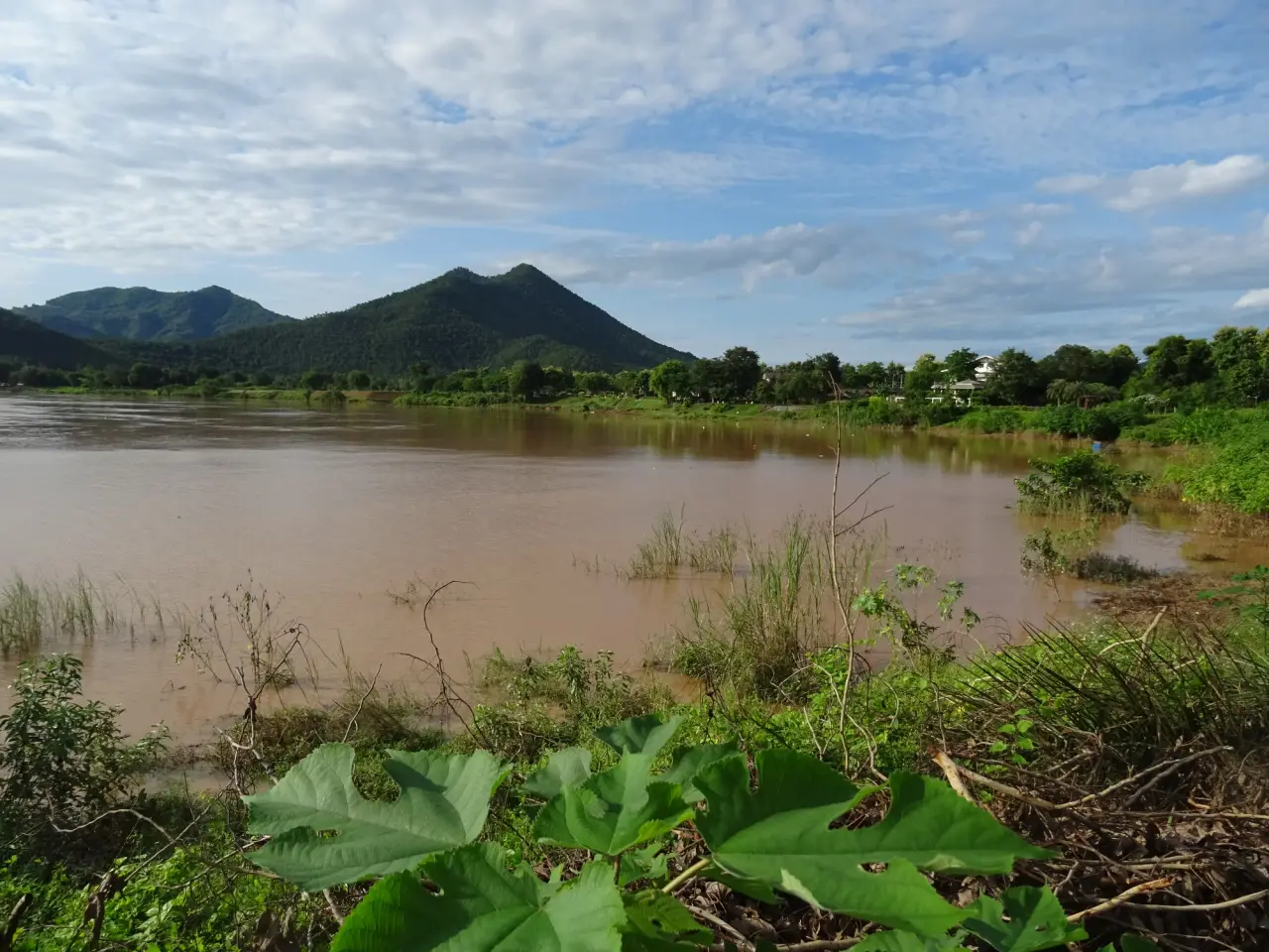 El marrón Mekong Se dobla el río junto a las colinas verdes en Kaeng Khut Khu Cerca de Chiang Khan.