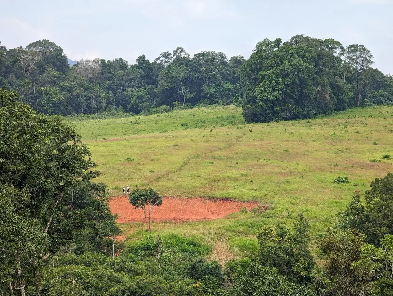 A small guided walking group in the green landscape of Khao Yai