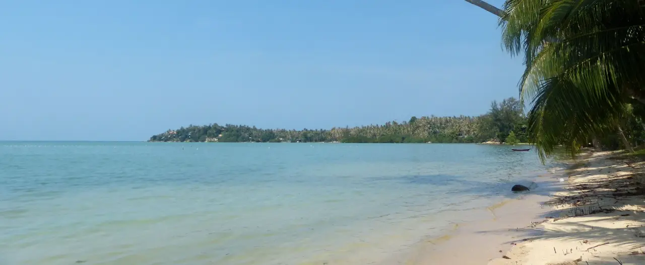 Palm-fringed beach and calm sea on Ko Pha Ngan, Thailand