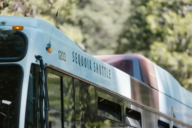 Distinguish attraction shuttles from public transport in travel content
