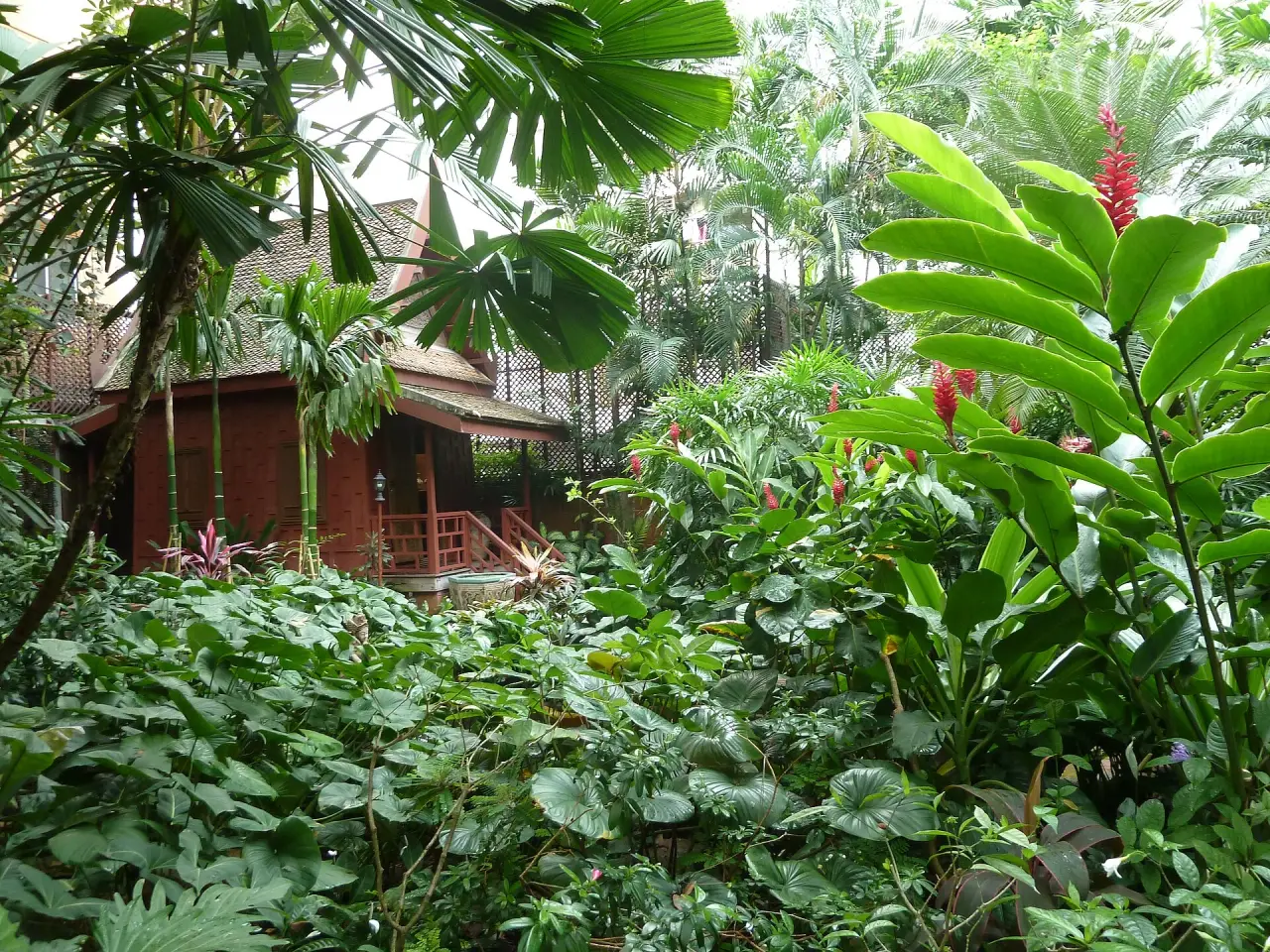Jardin tropical luxuriant de la maison Jim Thompson avec des bâtiments en teck rouge en partie visibles par la plantation verte
