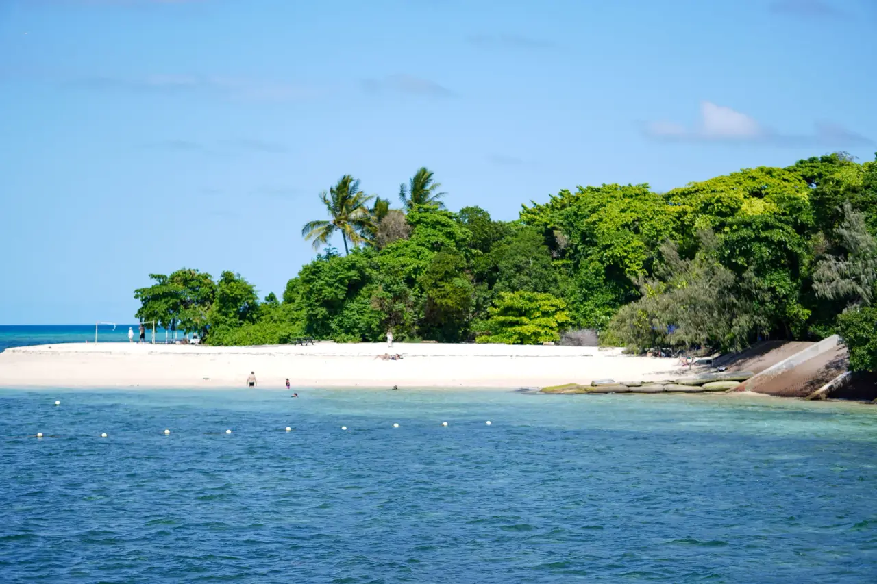 นักว่ายน้ําใกล้หาดทรายขาว ล้อมรอบด้วยต้นปาล์มและต้นไม้สีเขียว มีน้ําทะเลสีฟ้าใสอยู่ด้านหน้า